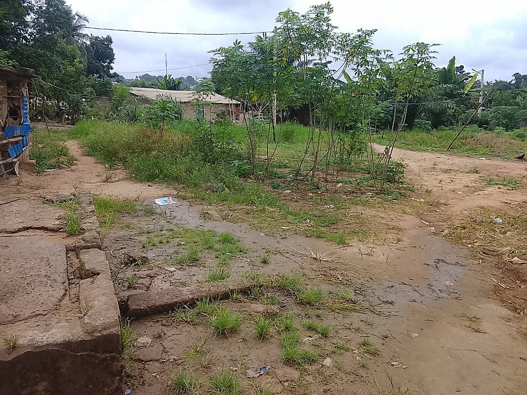 Réhabilitation d’une source d’eau dans le district du Goh-Djiboua