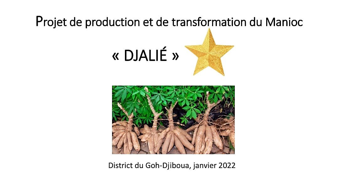 Projet manioc « DJALIÉ » — District du Goh-Djiboua, janvier 2022